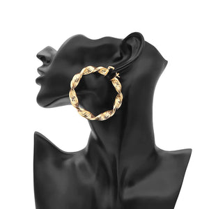 Luxurious Trendy Hoop Earrings