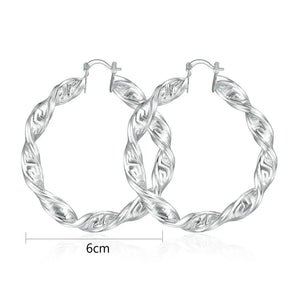 Luxurious Trendy Hoop Earrings