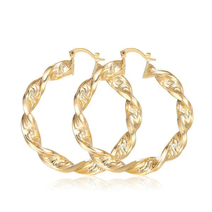 Luxurious Trendy Hoop Earrings