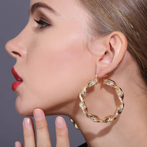 Luxurious Trendy Hoop Earrings