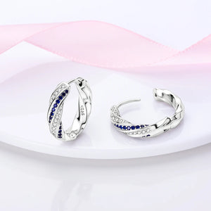 Luxury Circle Hoop Earrings